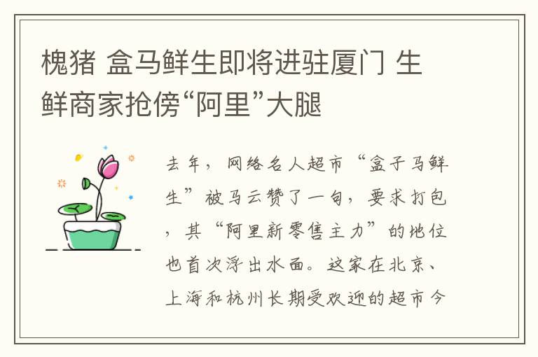 槐猪 盒马鲜生即将进驻厦门 生鲜商家抢傍“阿里”大腿