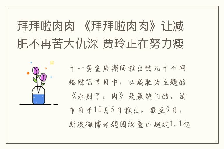 拜拜啦肉肉 《拜拜啦肉肉》让减肥不再苦大仇深 贾玲正在努力瘦身