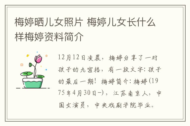 梅婷晒儿女照片 梅婷儿女长什么样梅婷资料简介