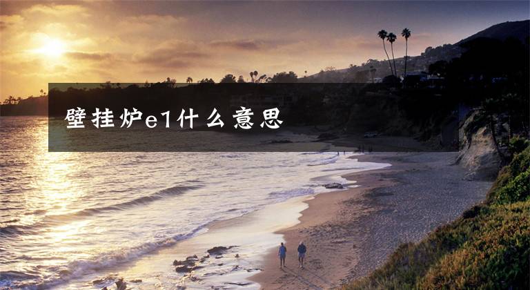 壁挂炉e1什么意思文章配图