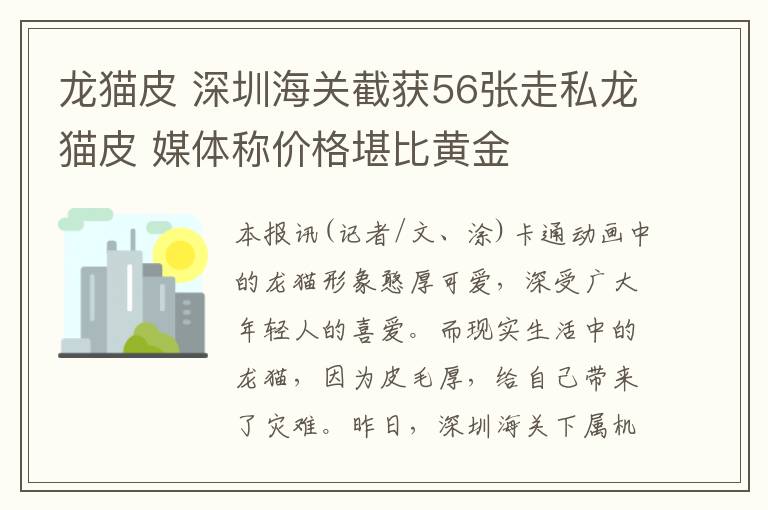 龙猫皮 深圳海关截获56张走私龙猫皮 媒体称价格堪比黄金