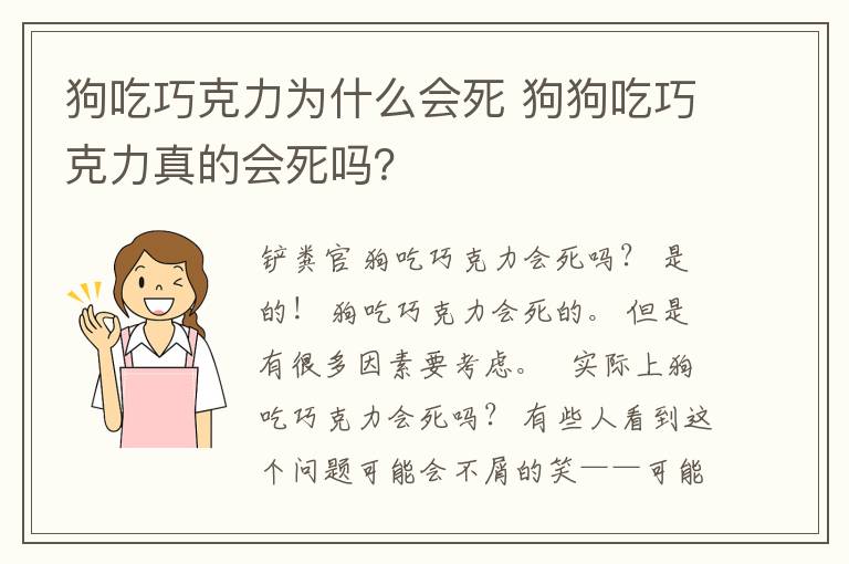 狗吃巧克力为什么会死 狗狗吃巧克力真的会死吗？