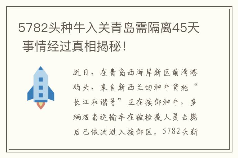 5782头种牛入关青岛需隔离45天 事情经过真相揭秘！