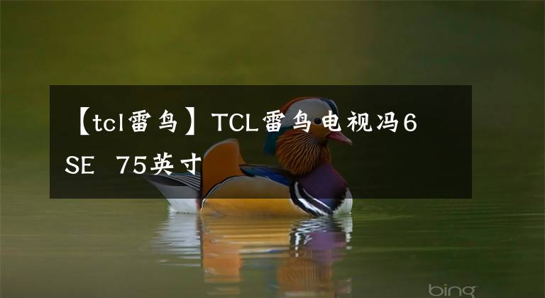 【tcl雷鸟】TCL雷鸟电视冯6 SE  75英寸