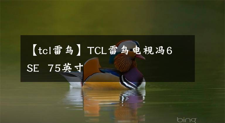 【tcl雷鸟】TCL雷鸟电视冯6 SE 75英寸