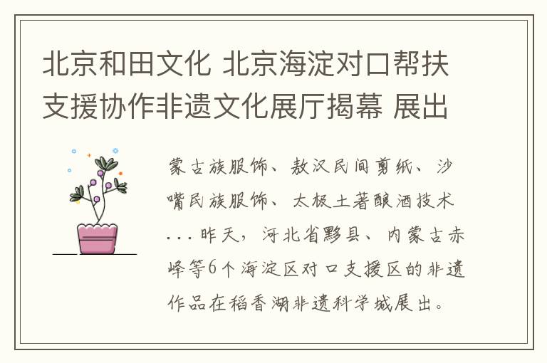 北京和田文化 北京海淀对口帮扶支援协作非遗文化展厅揭幕 展出了这些项目