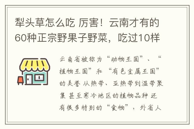 犁头草怎么吃 厉害！云南才有的60种正宗野果子野菜，吃过10样说明你已经老了…...
