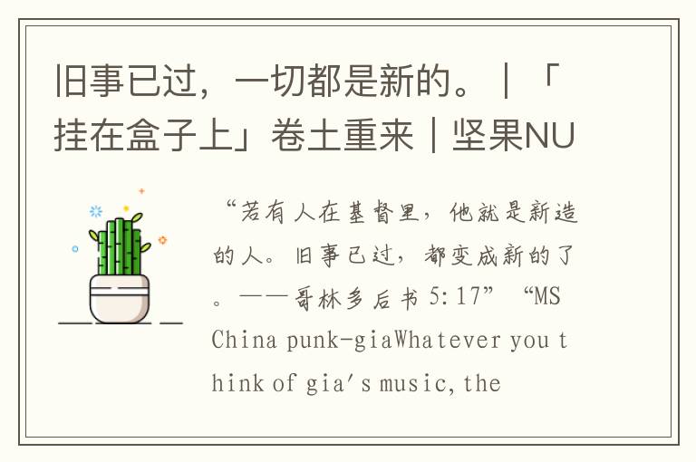 旧事已过，一切都是新的。｜「挂在盒子上」卷土重来｜坚果NUTS