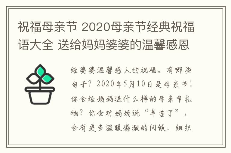 祝福母亲节 2020母亲节经典祝福语大全 送给妈妈婆婆的温馨感恩祝福说说句子