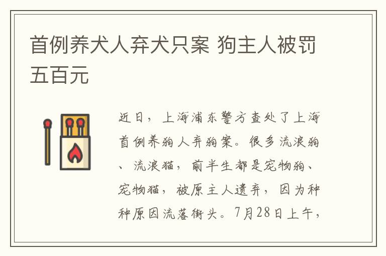 首例养犬人弃犬只案 狗主人被罚五百元