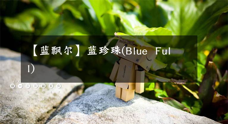 【蓝飘尔】蓝珍珠(Blue Full)