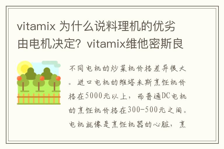vitamix 为什么说料理机的优劣由电机决定？vitamix维他密斯良心解读