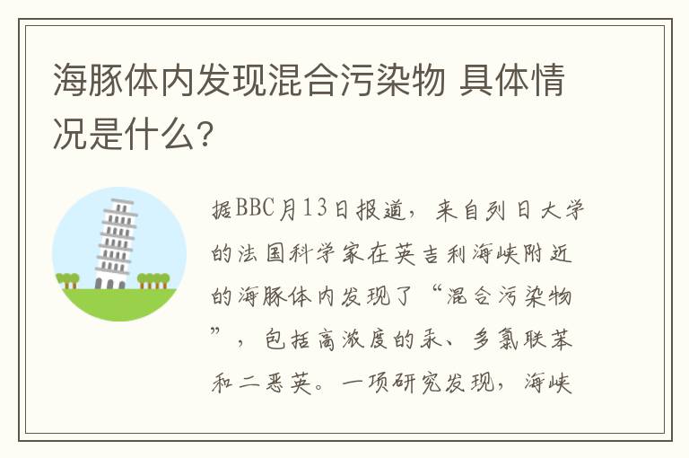 海豚体内发现混合污染物 具体情况是什么?