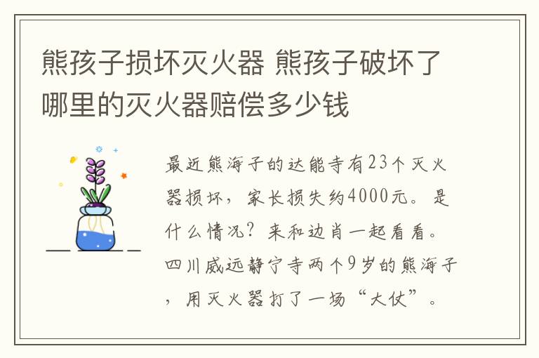 熊孩子损坏灭火器 熊孩子破坏了哪里的灭火器赔偿多少钱