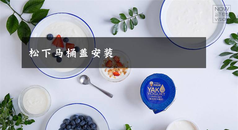 松下马桶盖安装文章配图