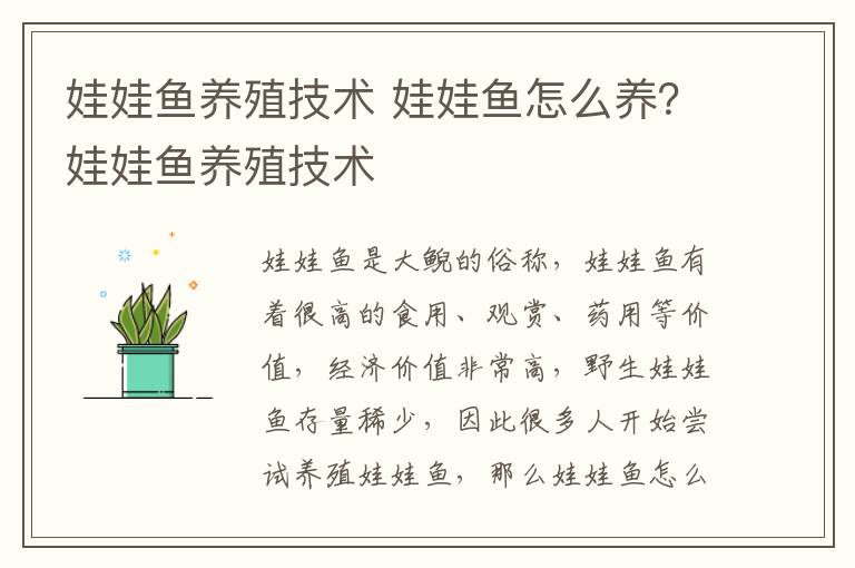 娃娃鱼养殖技术 娃娃鱼怎么养？娃娃鱼养殖技术