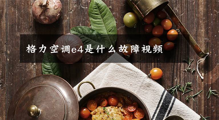 格力空调e4是什么故障视频文章配图