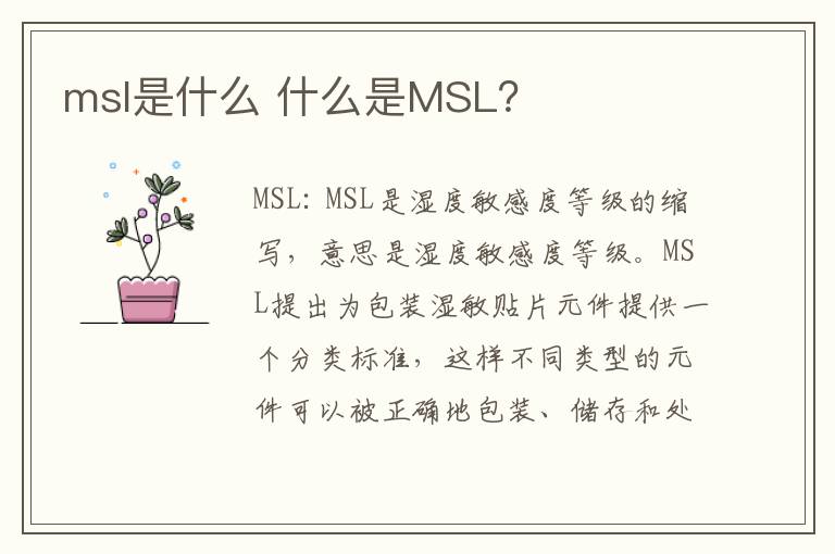 msl是什么 什么是MSL？