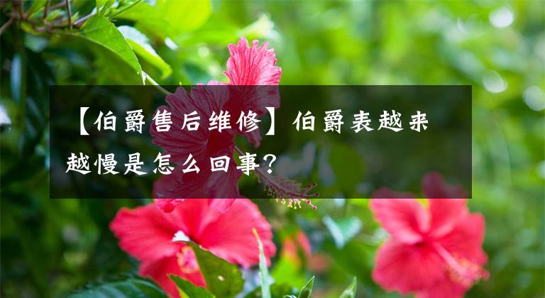 【伯爵售后维修】伯爵表越来越慢是怎么回事？