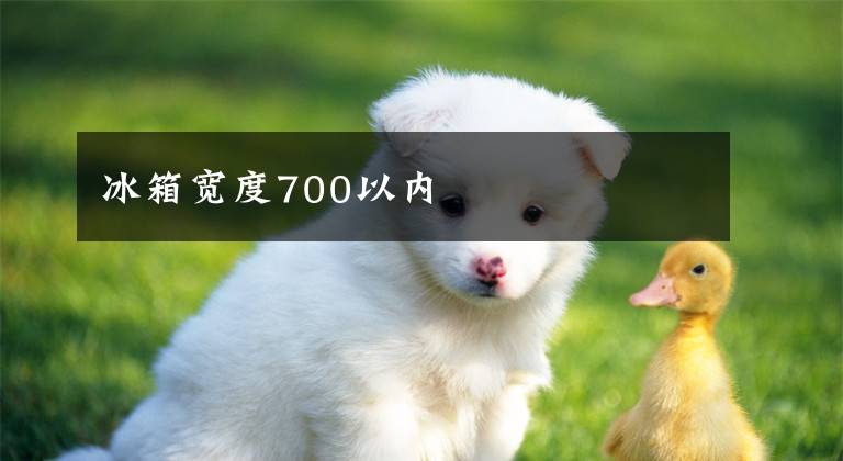 冰箱宽度700以内文章配图
