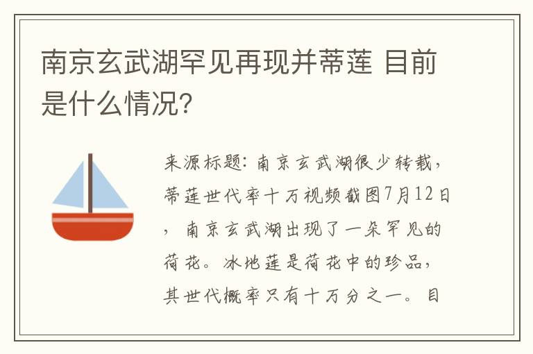 南京玄武湖罕见再现并蒂莲 目前是什么情况？