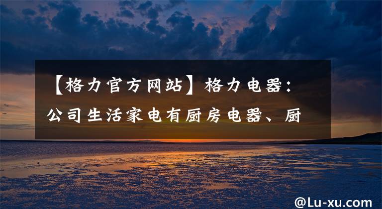 【格力官方网站】格力电器：公司生活家电有厨房电器、厨房电器、环境电器三大板块