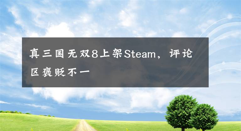 真三国无双8上架Steam，评论区褒贬不一