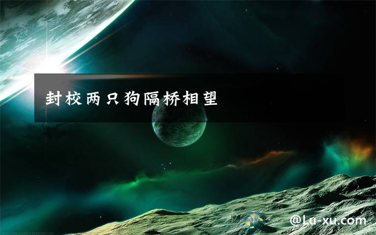 封校两只狗隔桥相望文章配图