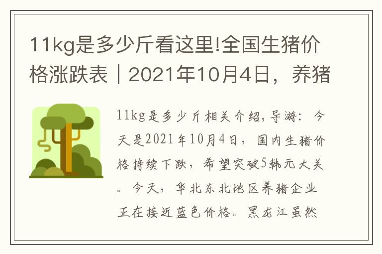 11kg是多少斤看这里!全国生猪价格涨跌表｜2021年10月4日，养猪户已经“无力回天”