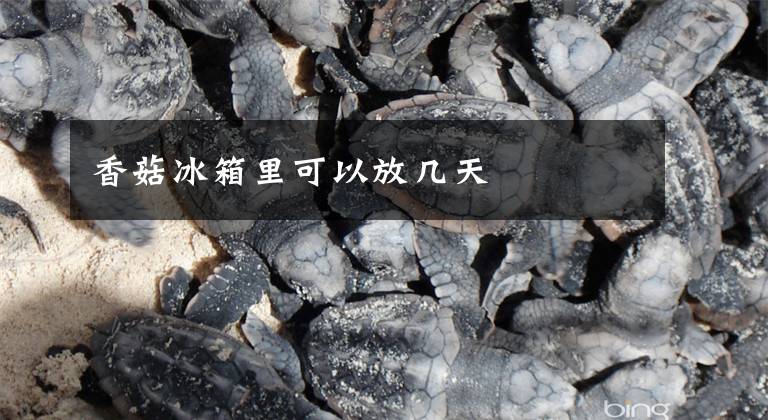 香菇冰箱里可以放几天文章配图