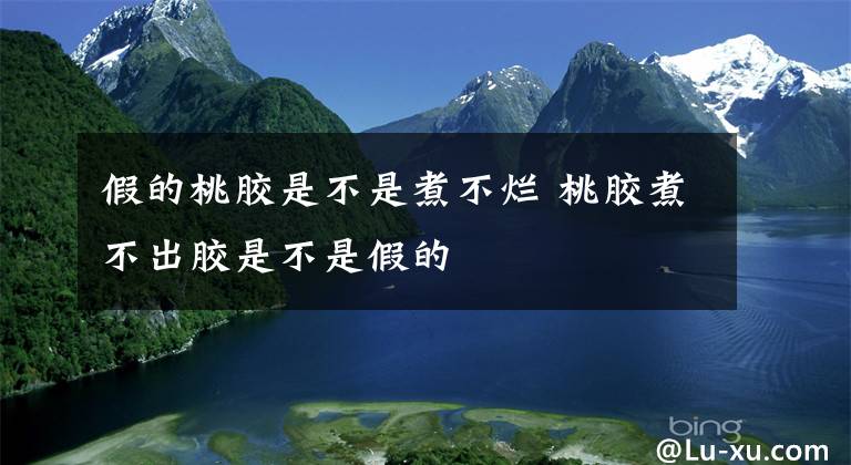 假的桃胶是不是煮不烂 桃胶煮不出胶是不是假的文章配图