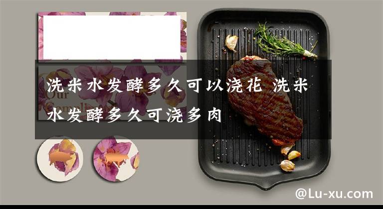 洗米水发酵多久可以浇花 洗米水发酵多久可浇多肉文章配图