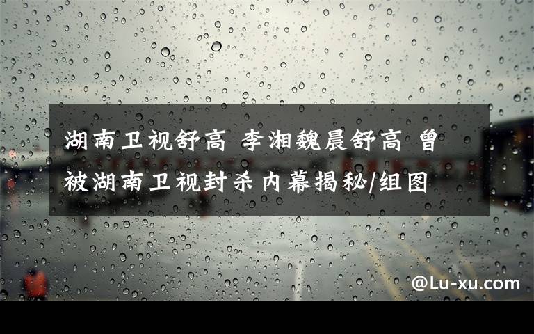 湖南卫视舒高 李湘魏晨舒高 曾被湖南卫视封杀内幕揭秘/组图