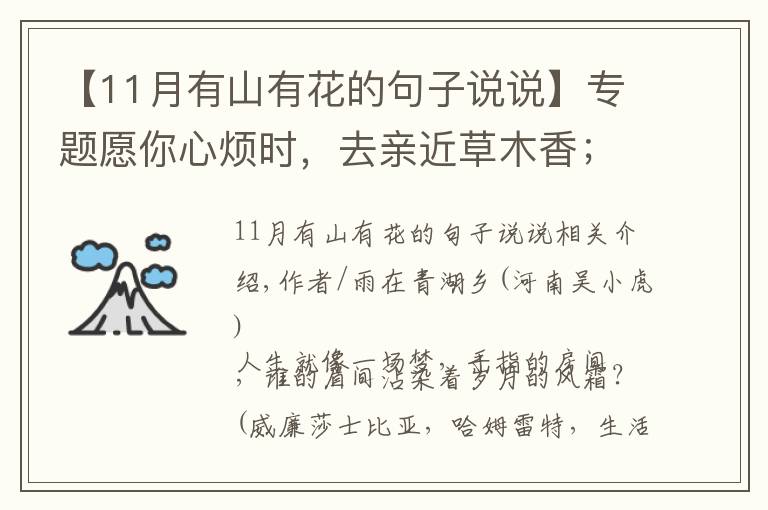 【11月有山有花的句子说说】专题愿你心烦时，去亲近草木香；愿你落寞时，与山水共清欢