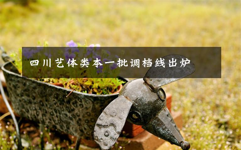 四川艺体类本一批调档线出炉文章配图