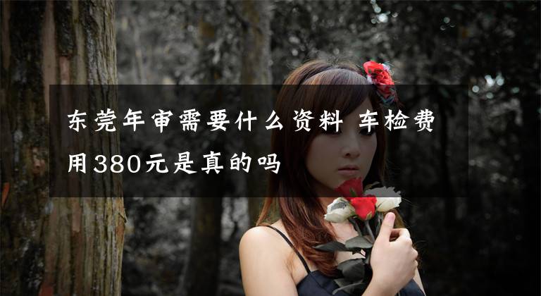 东莞年审需要什么资料 车检费用380元是真的吗文章配图