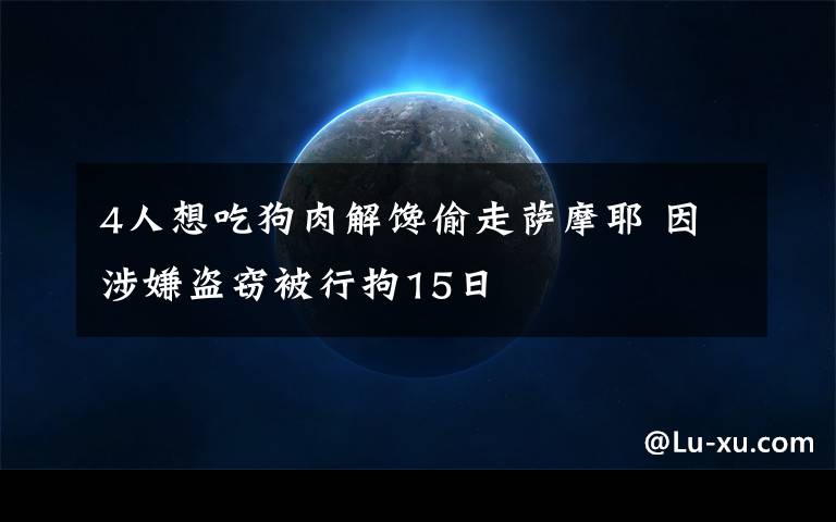 4人想吃狗肉解馋偷走萨摩耶 因涉嫌盗窃被行拘15日
