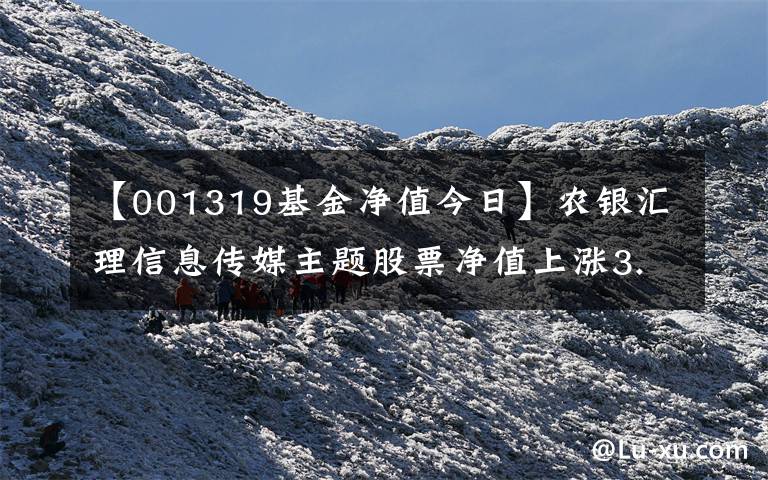 【001319基金净值今日】农银汇理信息传媒主题股票净值上涨3.12% 请保持关注