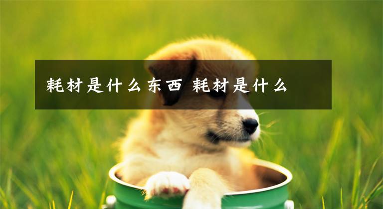 耗材是什么东西 耗材是什么文章配图
