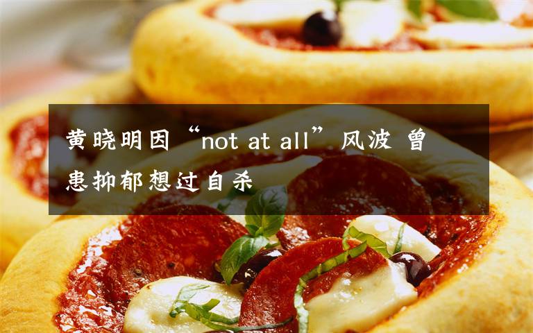 黄晓明因“not at all”风波 曾患抑郁想过自杀