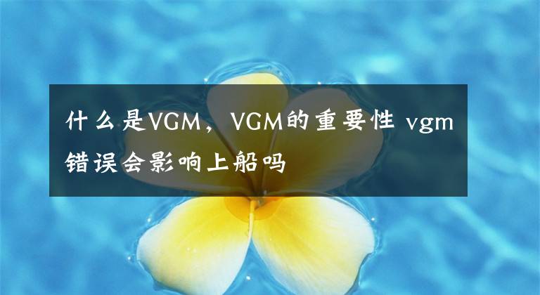 什么是VGM，VGM的重要性 vgm错误会影响上船吗文章配图