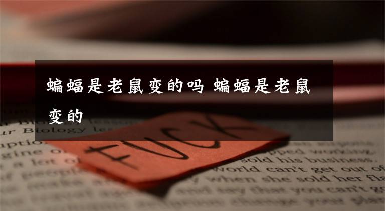 蝙蝠是老鼠变的吗 蝙蝠是老鼠变的文章配图