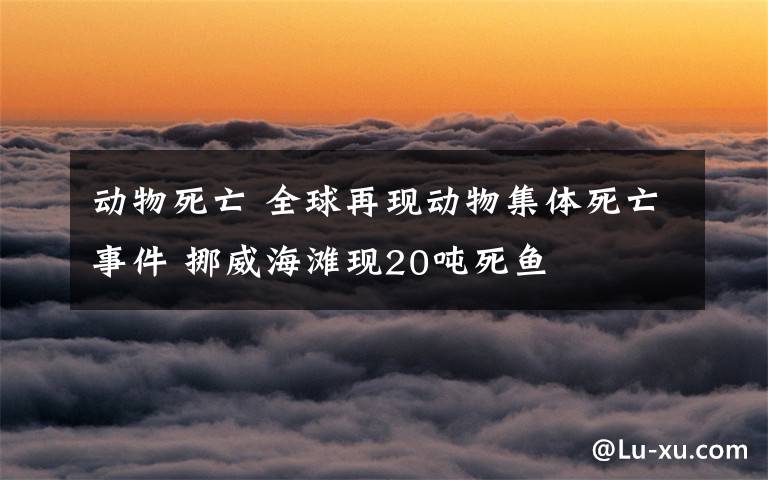 动物死亡 全球再现动物集体死亡事件 挪威海滩现20吨死鱼