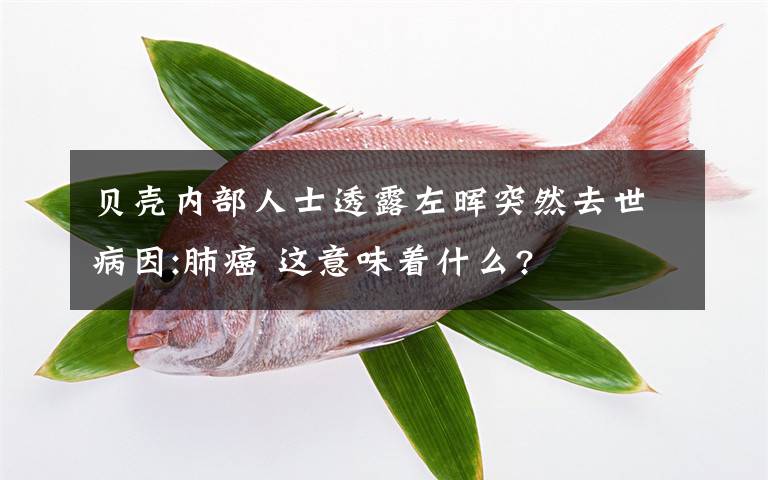 贝壳内部人士透露左晖突然去世病因:肺癌 这意味着什么?