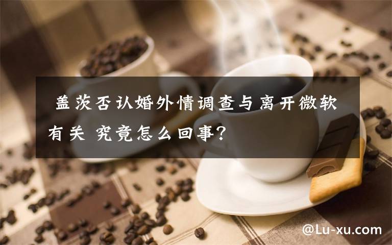  盖茨否认婚外情调查与离开微软有关 究竟怎么回事？