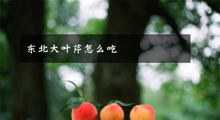 东北大叶芹怎么吃文章配图