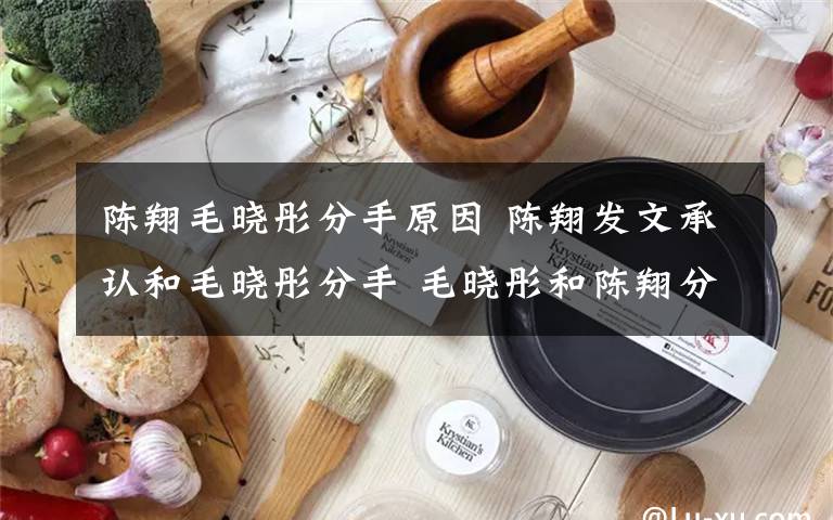 陈翔毛晓彤分手原因 陈翔发文承认和毛晓彤分手 毛晓彤和陈翔分手原因是什么新男友是Mike?文章配图