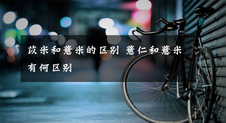 苡米和薏米的区别 薏仁和薏米有何区别文章配图