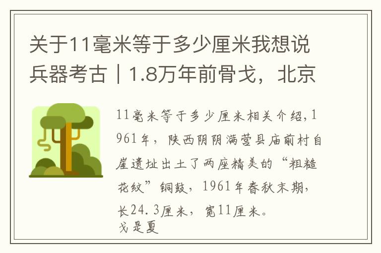 关于11毫米等于多少厘米我想说兵器考古｜1.8万年前骨戈，北京山顶洞人；二里头玉戈、商周铜戈