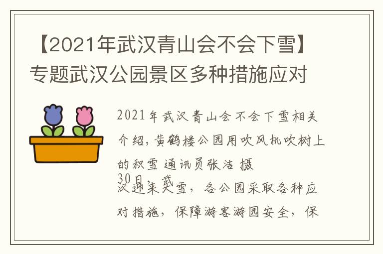【2021年武汉青山会不会下雪】专题武汉公园景区多种措施应对雪天：吹风机吹树叶、给化石开暖气